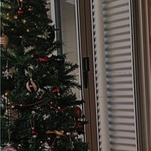 Meet your Posher, Lilly the vampire